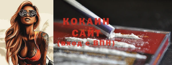 гашик Вуктыл