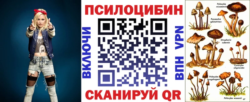 Псилоцибиновые грибы MAGIC MUSHROOMS  Вытегра 
